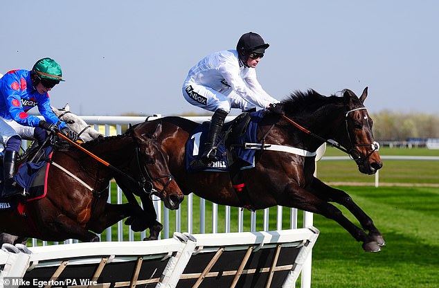 That will force Henderson to find a replacement for popular runner Constitution Hill, who has only ever been ridden by De Boinville
