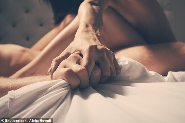 At the lowest end of the scale were 'mild romantic lovers', who made up 20 per cent of the group, and had sex twice a week on average (stock image)