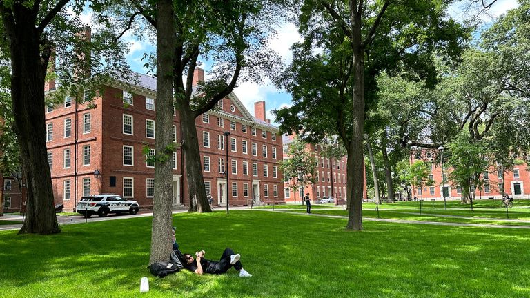 A person relaxes on the Harvard University campus on Thursday, as the US Supreme Court announced its historic ruling Pic: AP 