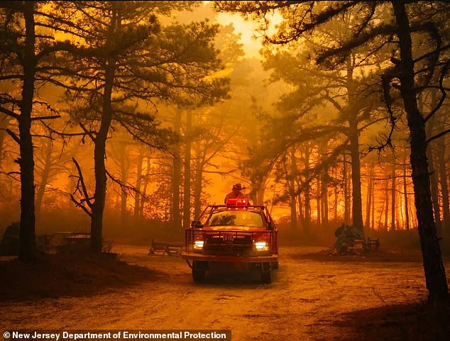 Investigation by law enforcement and forest fire officials determined that he cause of the fire was an improperly extinguished bonfire, and was deemed to be 'incendiary'