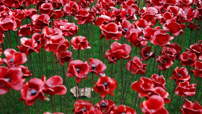 Leaves lie amongst the ceramic poppies that form part of the art installation "Blood Swept Lands and Seas of Red", during an Armistice Day ceremony at the Tower of London in London November 11, 2014. REUTERS/Stefan Wermuth (BRITAIN - Tags: ANNIVERSARY CONFLICT MILITARY ENVIRONMENT)