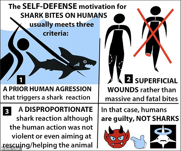 This graphic, provided by the researchers, explains how self-defence shark bites on humans usually meet three criteria