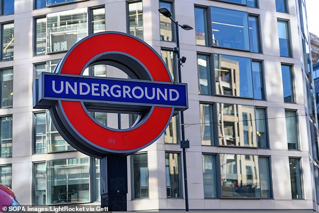 On social media, commuters have been hailed the live tube map as a game-changer for their daily commute on the London Underground (stock image)