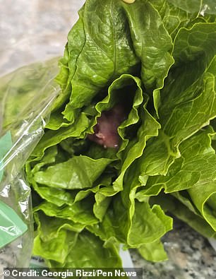 She said: 'I had a friend and her 18-month-old daughter come for lunch, and I bought the lettuce to use as salad in a wrap'