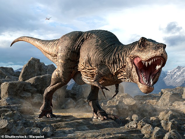 An illustration showing T.Rex, the terrifying meat-eating dinosaur that lived 83-66 million years ago