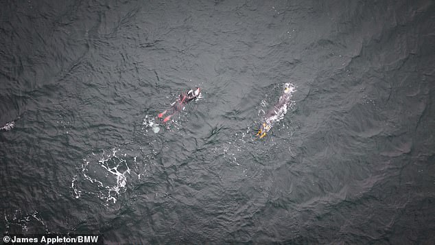 In waters that are 7°C (44°F), Ross will build up to swimming for 12 hours every day to prepare himself for the ordeal ahead