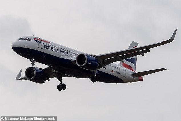 The incident is the latest in a string of aviation accidents that have generated increased attention from the public since the deadly crash in Washington DC in January (file photo)