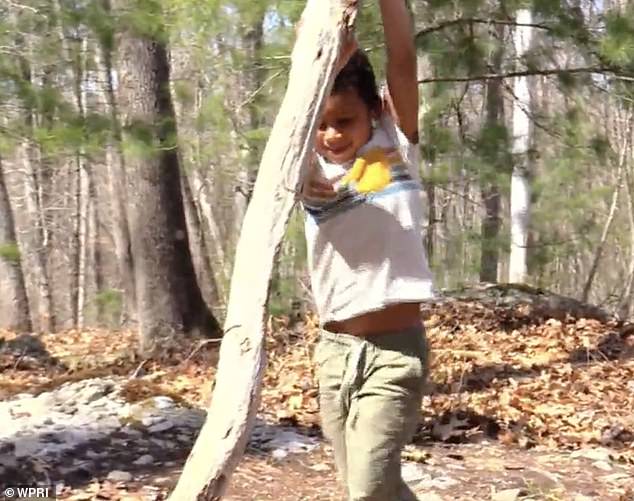 The little boy had been playing in the woods when he decided to climb one of the trees