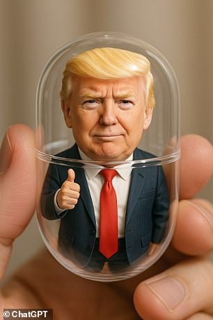 US President Donald Trump as a pocket-sized toy