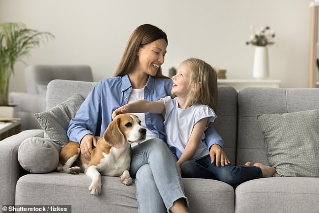 Similar to children, dogs scored high in nurturing and relationship security and, like best friends, had low levels of antagonism and conflict with their owners (stock image)