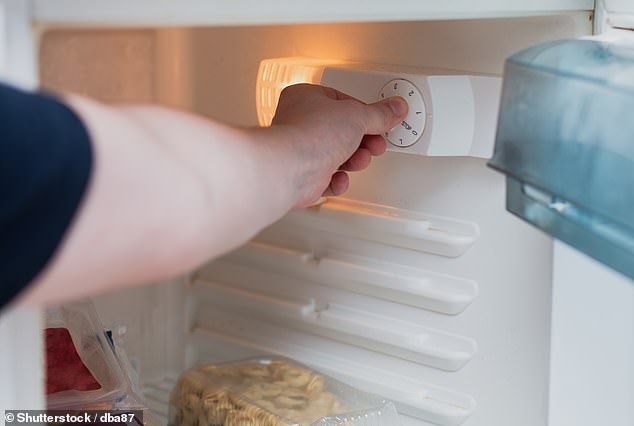 According to the Food Standards Agency (FSA), your fridge needs to be set to at least 5°C (41°F) or lower to store food safely. However, your freezer needs to be at least -18°C (-0.4°F) to completely stop the development of germs (stock image)
