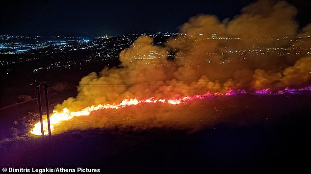 According to new data, the most devastating period was the seven-day stretch from April 2 to April 8 in which over 69 square miles (180 square km) of land was burnt. Pictured: A fire rages in the Cydach area of Swansea on March 18