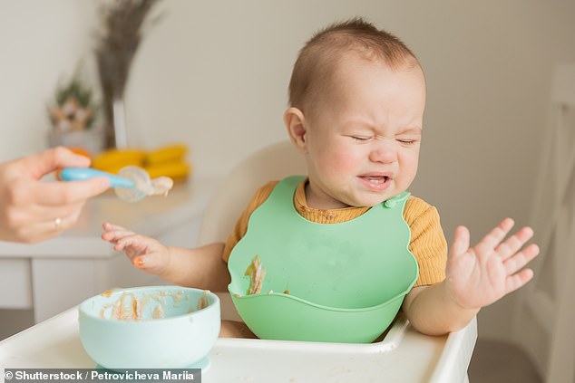 There are currently more than 250 baby food pouch products available in the UK ¿ their convenience and long shelf lives have seen them become a staple for many households with young children