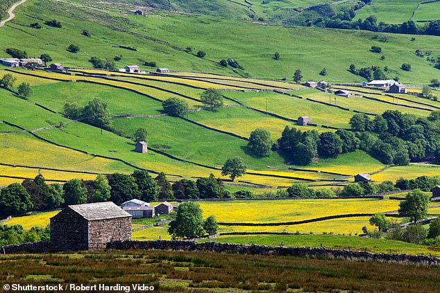 Previous studies have shown that, while the Yorkshire (pictured) accent has been negatively evaluated on scales of prestige, it has also been linked to attributes such as sincerity, reliability and friendliness