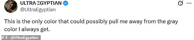 Another iPhone users said that the potential Sky Blue colour was the only option that would entice them away from a grey colour