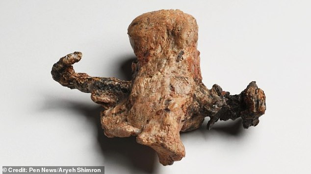 The most likely scenario is that Jesus died due to blood and fluid loss from the wounds inflicted during crucifixion which triggered terminal arrhythmia. The medical consensus is that Jesus certainly died on the cross. Pictured the heel of a crucifixion victim showing how the nail was driven through the bone