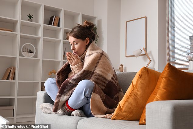 Thankfully, the heating expert says that turning your heating off doesn't have to mean feeling cold (stock image)