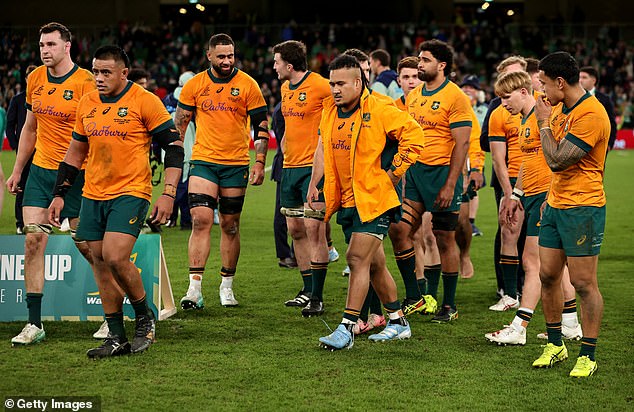 In a surprising move, Kiss won't take charge of the Wallabies (pictured after a match in November last year) until the 2026 Super Rugby season is over