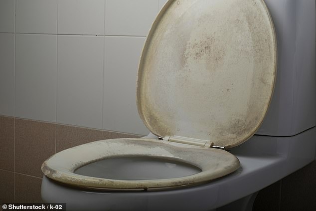 While you might think the bins and toilet seat would be crawling with germs, these were found to be considerably cleaner than the blanket and teddy (stock image)