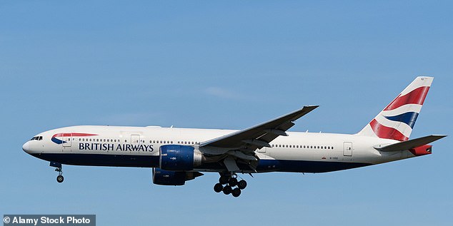 British Airways Flight 216 landed safely in Boston after it was diverted en route to London due to a 'possible bird strike' (file photo)