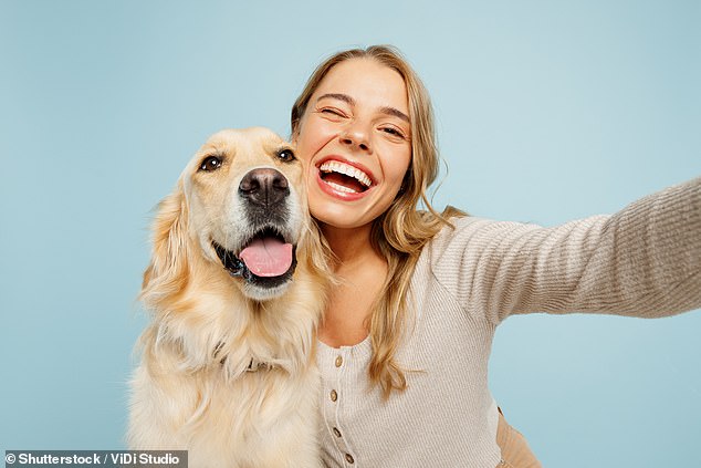 The study of 700 dog owners found most said they felt their dog loved them the most among all partners (stock image)
