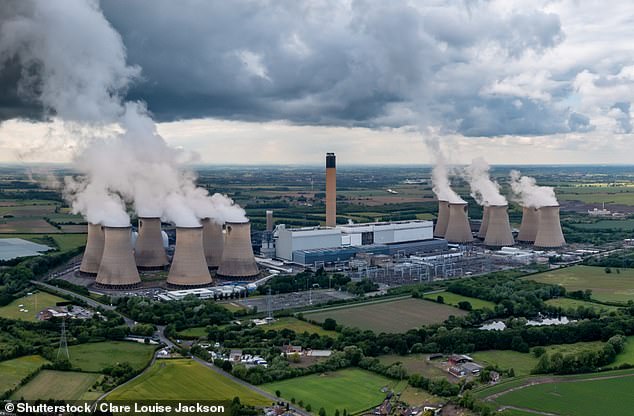 'Carbon neutral': Drax Group operates a power plant in Selby, North Yorkshire, that generates electricity by burning wood pellets