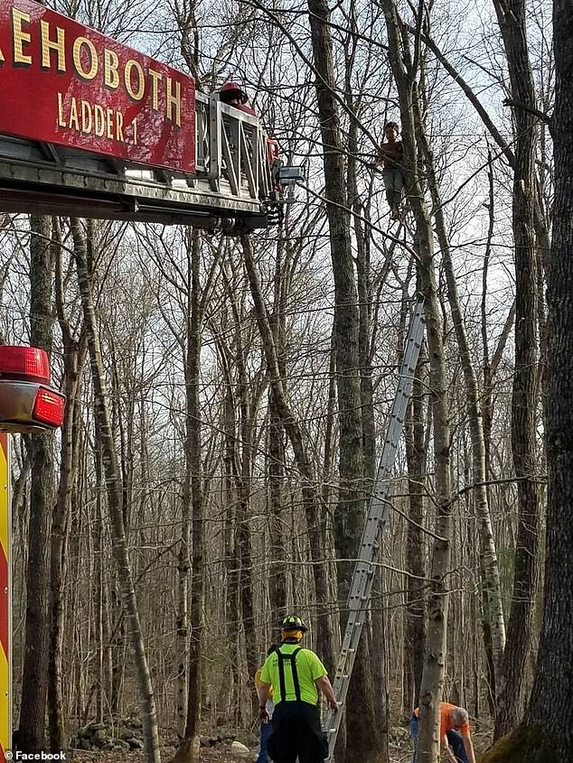 Firefighters in Massachusetts carried out a dramatic rescue after a five-year-old boy became stuck high in the branches of a backyard tree, perched an astonishing 35ft above the ground