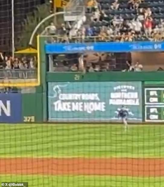 The fan (center in white) flipped in the air before crashing down to the ground