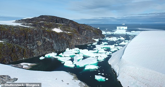 Iceland's freezing waters (pictured) can drop below freezing and will sit around 1°C (34°F)