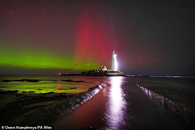 Experts say the natural light show, also known as the aurora borealis, should be visible on Wednesday night due to 'enhanced solar activity'. Pictured, aurora at St Mary's lighthouse in Whitley Bay in the early hours of Wednesday
