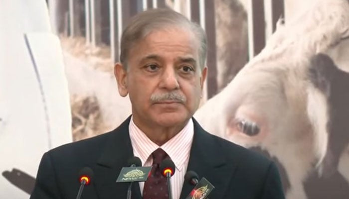 PM Shehbaz Sharif speaks during an event, related to Pakistani agriculture graduates studies in China, held in Islamabad on April 16, 2025. — Screengrab via Geo News
