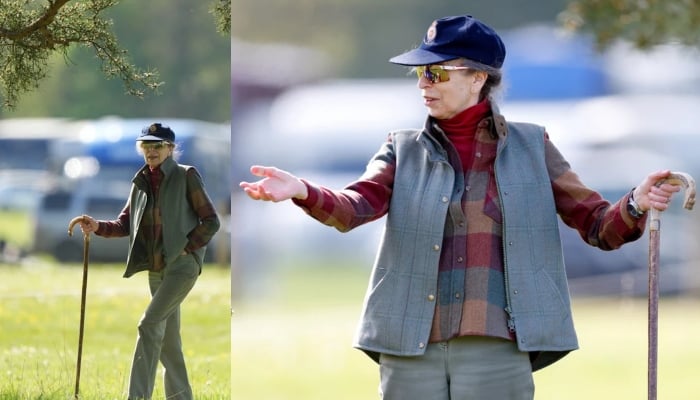 Princess Anne steps out with grace after new injury