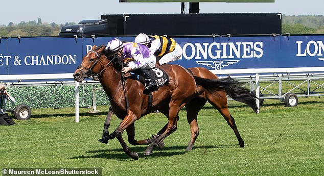 Mail Sport's racing expert Robin Goodfellow delivers his tips for Thursday's meetings