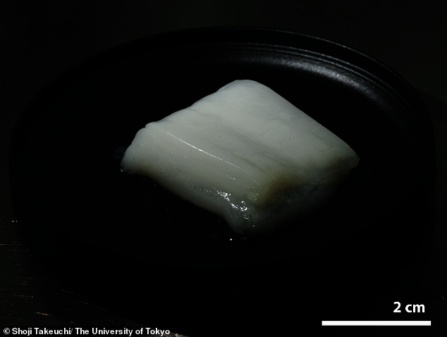 The lab-grow chicken chunk which has a similar texture and taste profile to that of the real thing