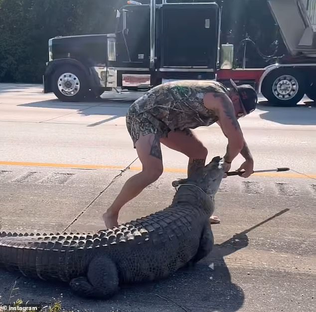 Then he stood and used the catch pole to flip the beast over
