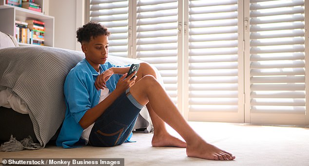 Data from the Cyberbullying Research Centre reveals that about 30 per cent of teens have experienced cyberbullying in their lifetime, with 13 per cent saying it occurred in just the last 30 days (stock image)