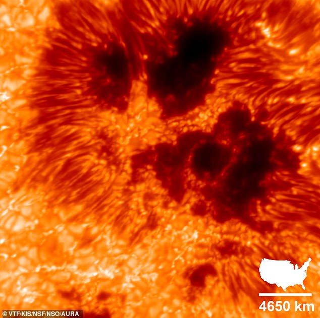 The incredible image shows a cluster of sun spots - areas of intense magnetic energy. Each pixel in the original version of the image corresponds to 10 km (or 6.2 miles) on the Sun