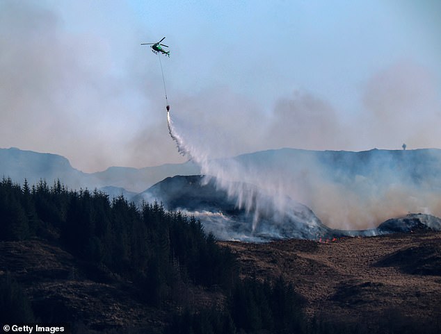 The amount of UK land burnt by wildfires has already passed the all-time record just four months into the year as blazes tear through parts of Wales, Northern Ireland, and Scotland. Pictured: A helicopter pours water on a fire on the Isle of Bute, Scotland, April 10, 2025