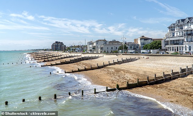 Bognor Regis Beach (pictured above) in Sussex is unfortunately on the Brown Flag list this year