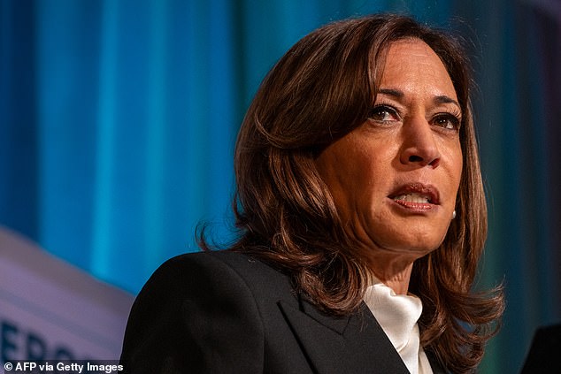 Crockett said that Harris's background as a prosecutor presented a problem among marginalized communities