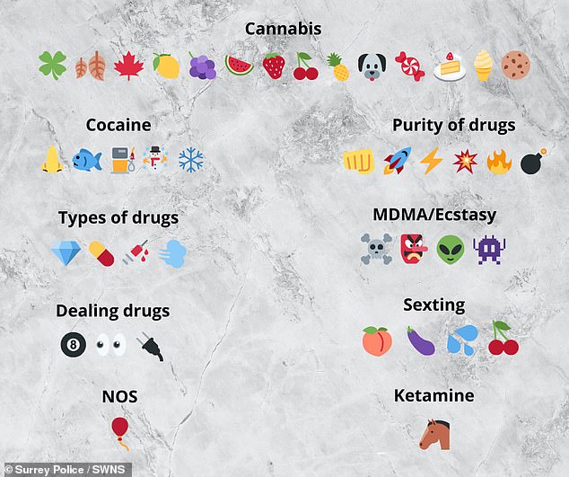 Emojis can carry very loaded and often sinister meanings. In 2023, Surrey Police issued a guide for parents on the latest emoji slang for the drug trade (pictured)
