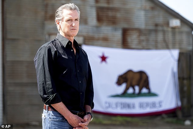Newsom, 57, was among the Democrats' most articulate surrogates last year, even as he brushed off speculation he was seeking the White House and made the case to reelect President Biden