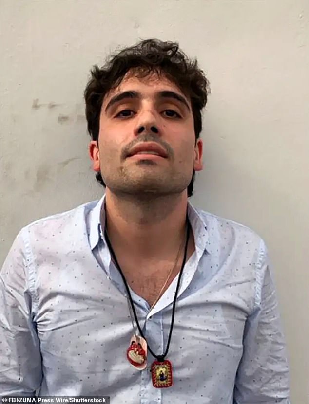 Ovidio Guzmán and his brothers took over the Sinaloa Cartel operations after their father, Joaquín 'El Chapo' Guzmán was extradited to the United States, where he is serving a life sentence. Ovidio is expected to enter a guilty plea in an Illinois federal court July 9 and provide and confirm information that will help the U.S. designate Mexico 's ruling party, Morena, as a narco-organization