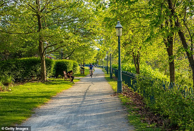 The City of Pittsburgh is home to 176 parks