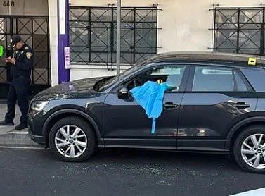 Pictured: The vehicle belonging to Ximena Guzmán