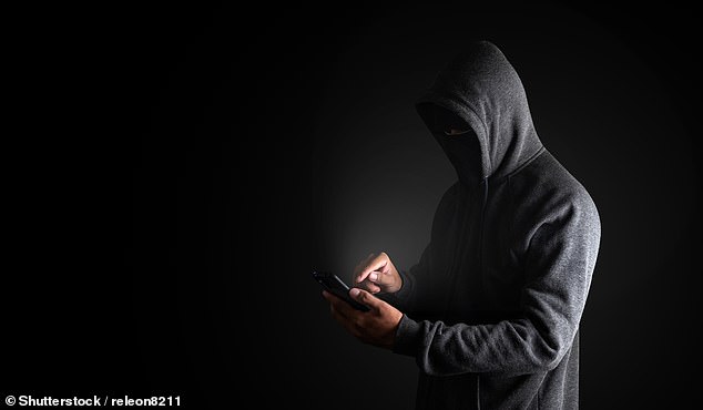 Nicked: The fraudster removed 950,000 Avios points from N.R's online account