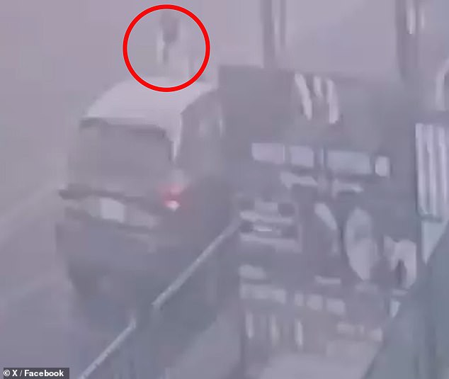 The gunman fired several shots into the vehicle, killing Ximena Guzmán and José Muñoz