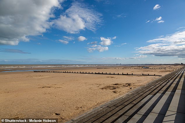 England's 19 dirtiest beaches have been named and shamed at the second annual 'Brown Flag Awards'. Dymchurch in Kent (above) is on the list