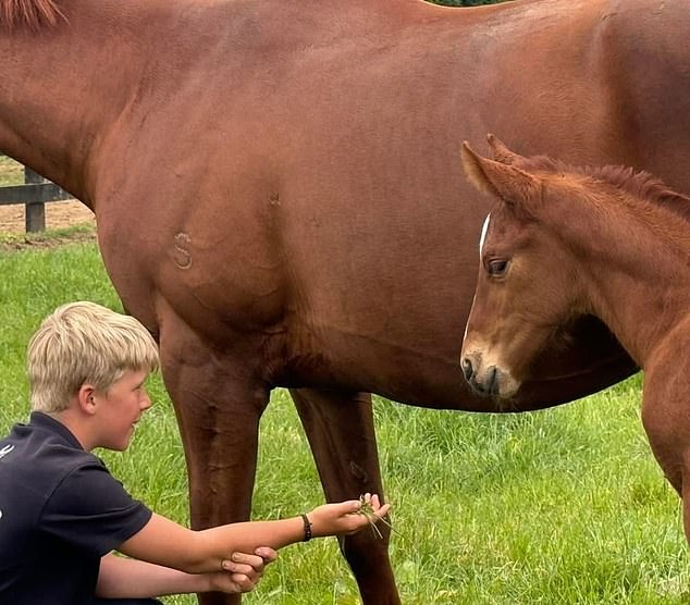 The Schick family announced their son Jimmy, aged 10, (pictured) died following an off-road vehicle incident in New Zealand