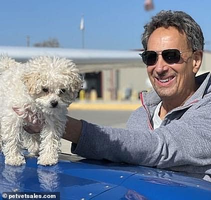 The identities of the pilot and passenger on board have not been released but the plane is owned by Paul Berkovitz (pictured) who rescues dogs with his plane